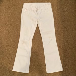 Hudson boot cut jeans